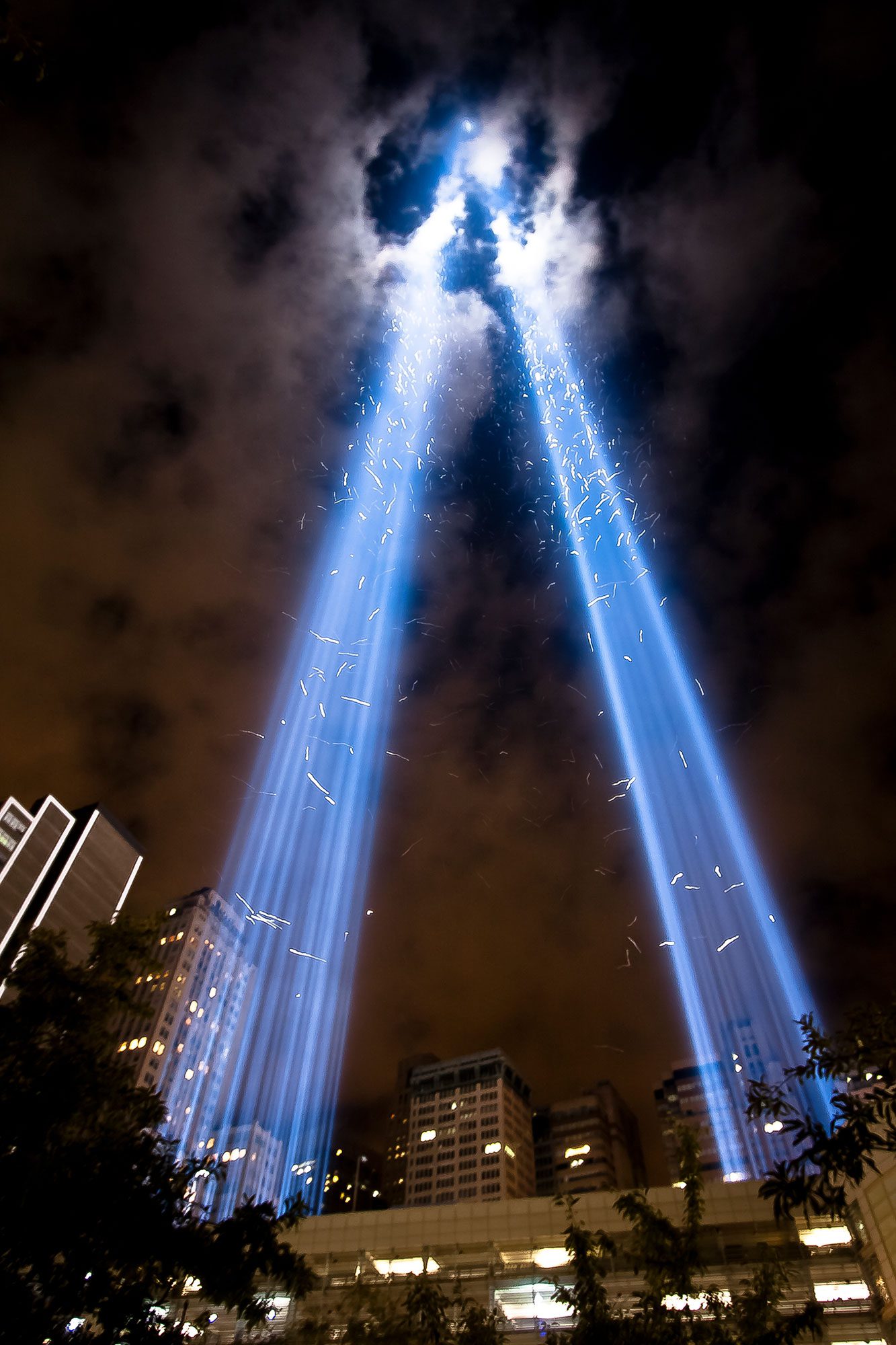Birds flying through the twin beams at the Tribute in Light appear as illuminated streaks in the bright beams. Photo by John de Guzman.