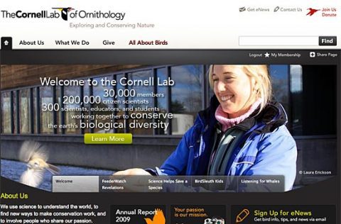 The Cornell Lab's new website