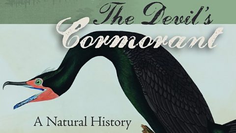 The Devil's Cormorant by Richard J King