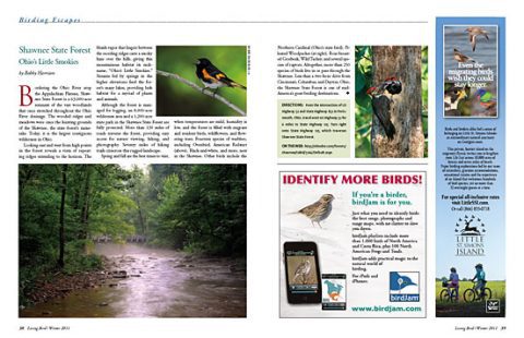 Birding Escapes: Shawnee State Forest: Ohio's Little Smokies