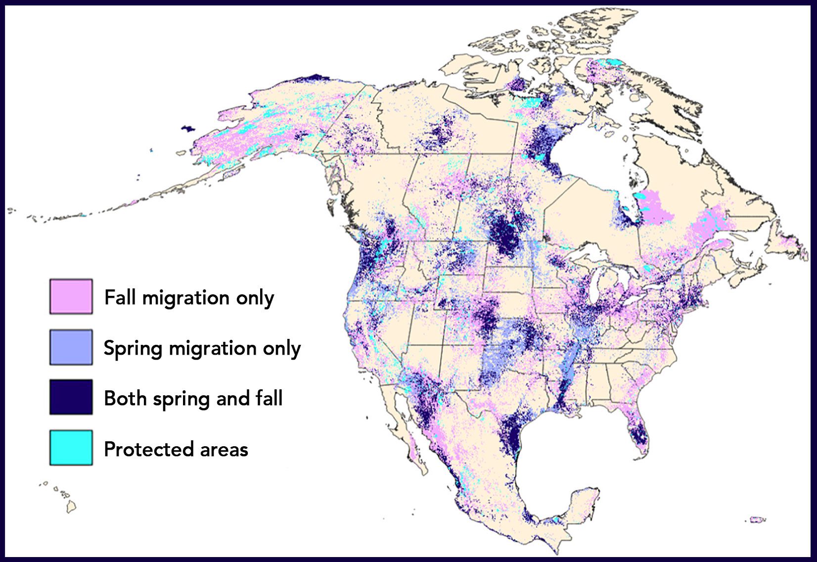 Migration stopover map. Source: “Integrating season-specific needs of migratory and resident birds in conservation planning” Biological Conservation, Dec. 2020.