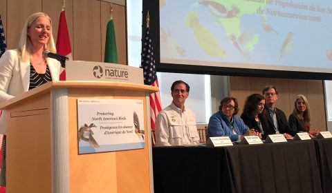 State of North America's birds press conference 2016